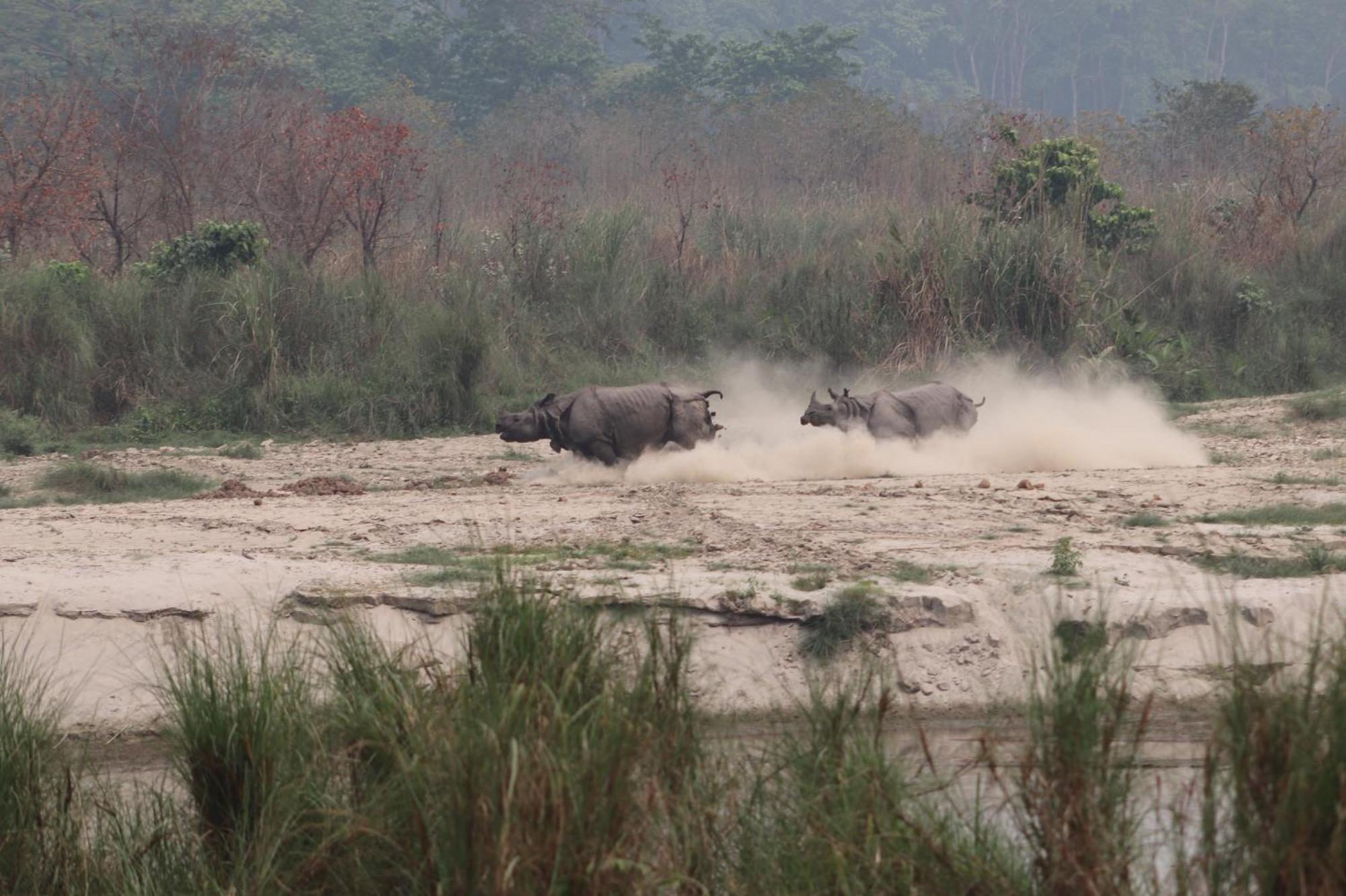 Sanctuary Chitwan National Park Eksteriør bilde